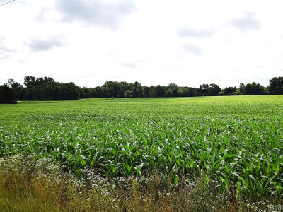 V/l N Irish Rd Otisville, MI 48463