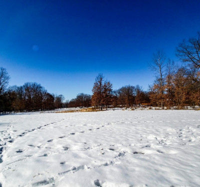 3034 Kelly Jo Court, Wheatfield, IN, USA