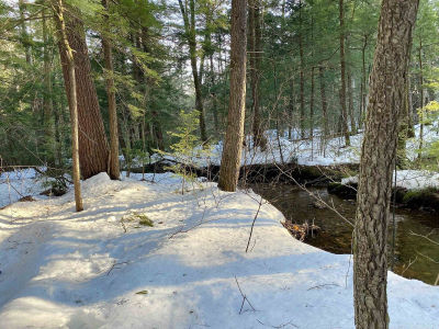 65 Ossipee Mountain Rd Center Ossipee, NH 03814