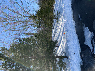 4 Holly Tree Ct, Jackson Township, NJ, USA