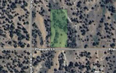 0 Pheasant #27 Sprague River, OR 97639