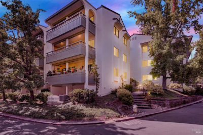 1621 Ptarmigan Dr APT 3C Walnut Creek, CA 94595