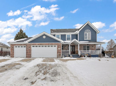 1123 Meadow Path Manteno, IL 60950