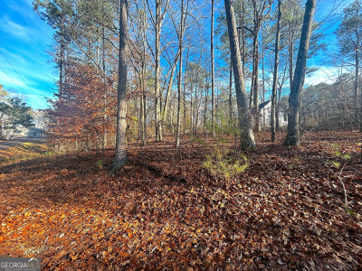 3339 Cherokee Ct Villa Rica, GA 30180