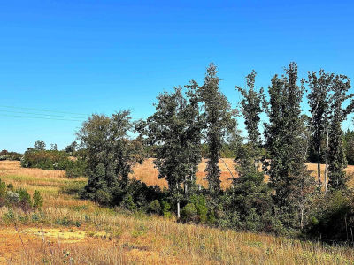 0 Riverfork Rd Waterloo, SC 29384