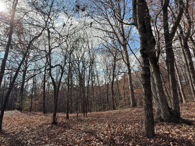 0 Orchard Rd Jasper, GA 30143