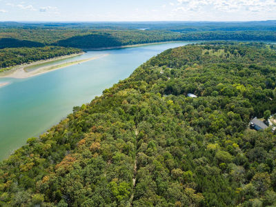 0 Dixie Heights Rd Kirbyville, MO 65679