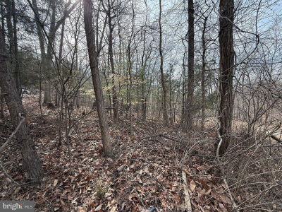 62 Roaches Run Rd Front Royal, VA 22630