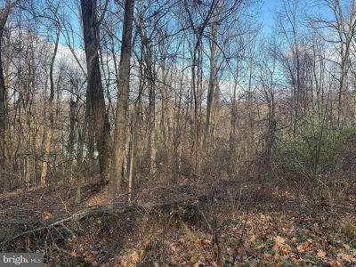 22 Hickory Tree Rd Front Royal, VA 22630