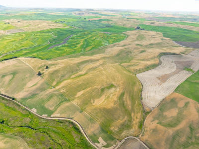 Bongarts Rd Oakesdale, WA 99158