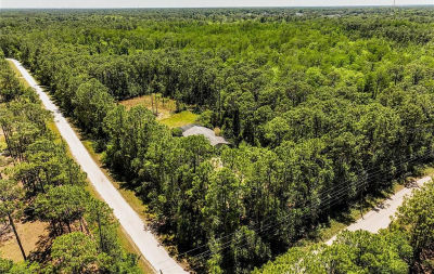 Stafford Trl LOT 0 Geneva, FL 32732