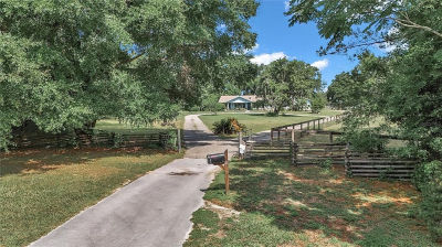 2299 NW 135th Ln Citra, FL 32113