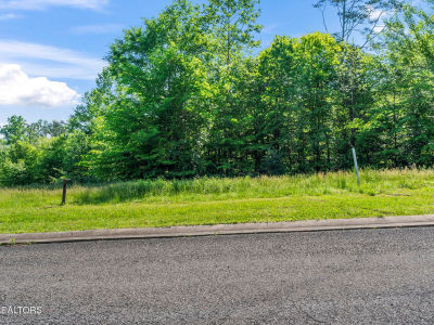 113 Cherry Oak Dr Oak Ridge, TN 37830