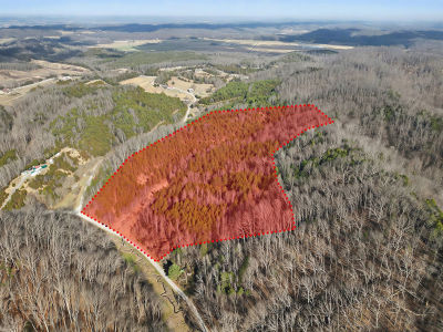 2692 Bear Creek Rd Bybee, TN 37713