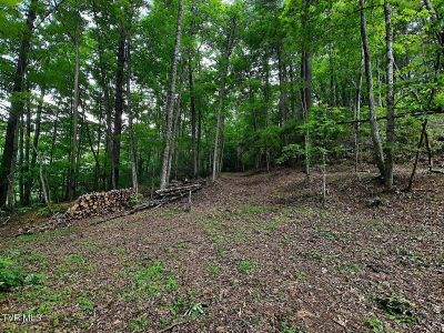 Willow Ln Greeneville, TN 37743