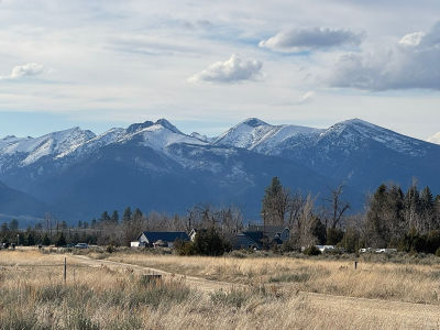 1425 Drovers Trl Stevensville, MT 59870