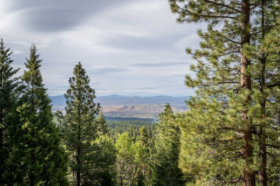 Janesville Grade, Janesville, CA, USA