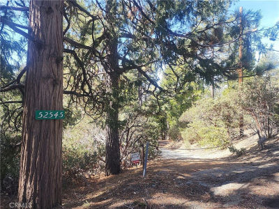 52547 Pine Cove Rd Idyllwild, CA 92549