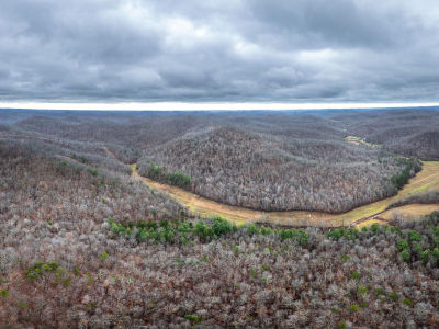 0 State Highway 599 Jeffersonville, KY 40337