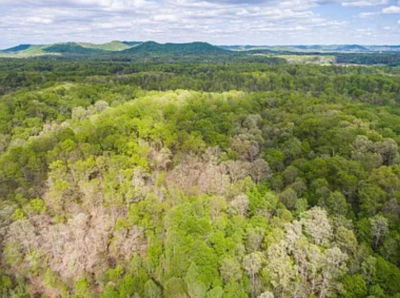 228 Lofty Heights Rd Clay City, KY 40312