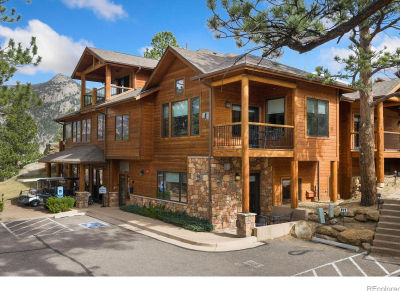 199 Twin Owls Ln #1 Estes Park, CO 80517