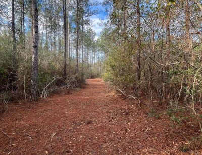 40 Acres Dr Perkinston, MS 39573
