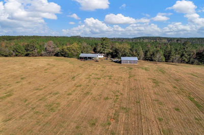 0 County Road 127 Banks, AL 36005