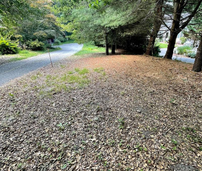 123 Old Post Rd Centerville, MA 02632