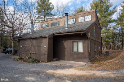 377 Spitz Ln #100 Basye, VA 22810