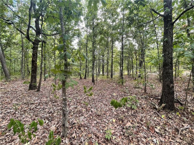 686 Woodland Hills Trl LOT 25 Broken Bow, OK 74728