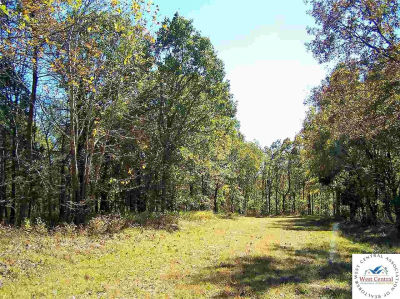 LOT 4149 Rodberg Pl Edwards, MO 65326