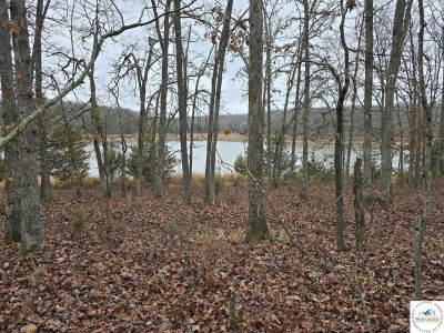 LOT 3450 Bob Dr Edwards, MO 65326