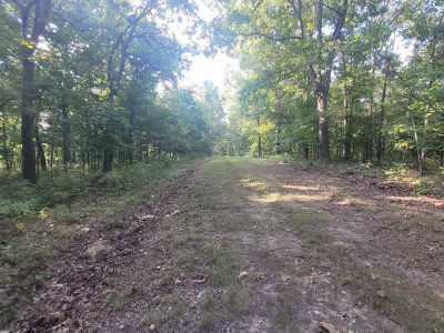 LOT 2186 Schwab Pl Edwards, MO 65326