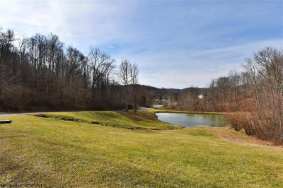 3 Overlook Dr Mount Clare, WV 26408