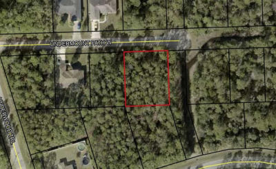 8 Undermount Path W Palm Coast, FL 32164