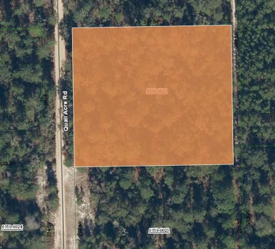 104 Quail Acre Rd Pomona Park, FL 32181