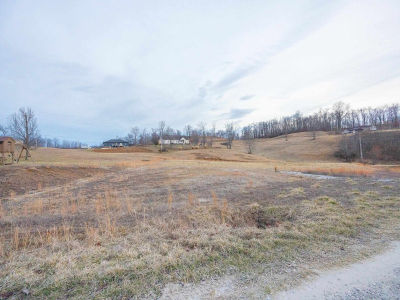 0 Arabian Ln Grayson, KY 41143