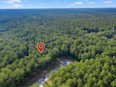 12-28 22 Fluorite Ct Huntsville, TX 77340