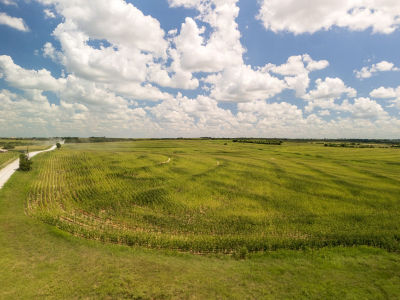 | County Rd #3150 Hubbard, TX 76648