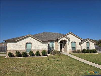 3318 Laurel Highlands Dr Salado, TX 76571