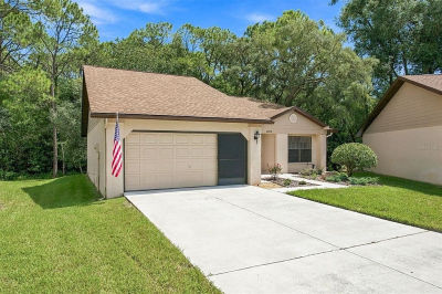 6810 PLUMLEAF COURT Spring Hill, FL 34606