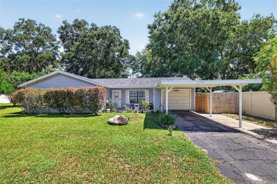 11305 SE 76TH AVENUE Belleview, FL 34420