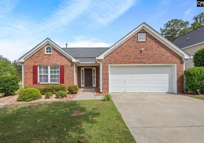 188 Riglaw Cir Lexington, SC 29073