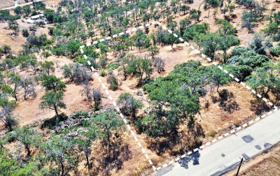 391 Sunflower Ln Squaw Valley, CA 93675