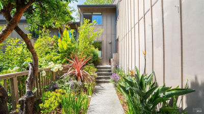 5 Charmaine Ct Novato, CA 94949