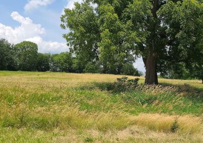 0 Rockside Dr Dixon, IL 61021