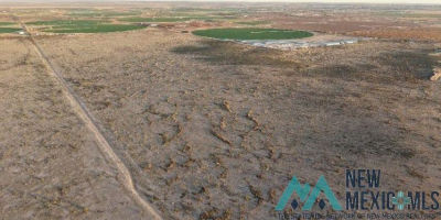 0 W Jackson Rd Lake Arthur, NM 88253