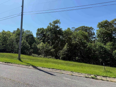 LOT 19 Meadow Glen Rd Flatwoods, KY 41139
