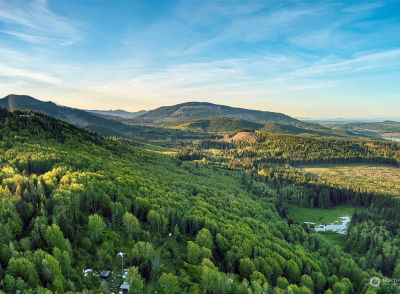 0 Elkhorn Ln Quilcene, WA 98376