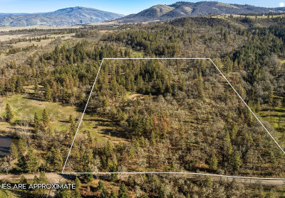 Morgensen Rd Mosier, OR 97040